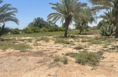 مزرعة - استوديو للبيع في الخاتم - أبوظبي
