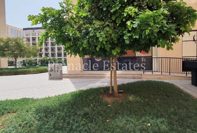 16078125 - صورة العقار 3