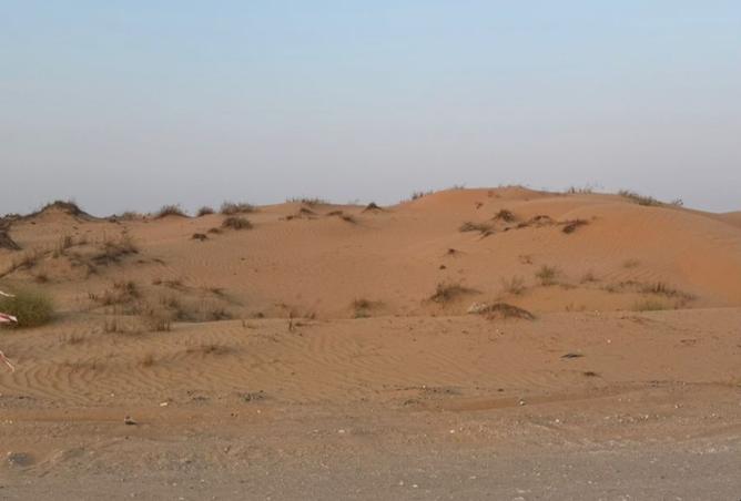 15493123 - Property Image 3