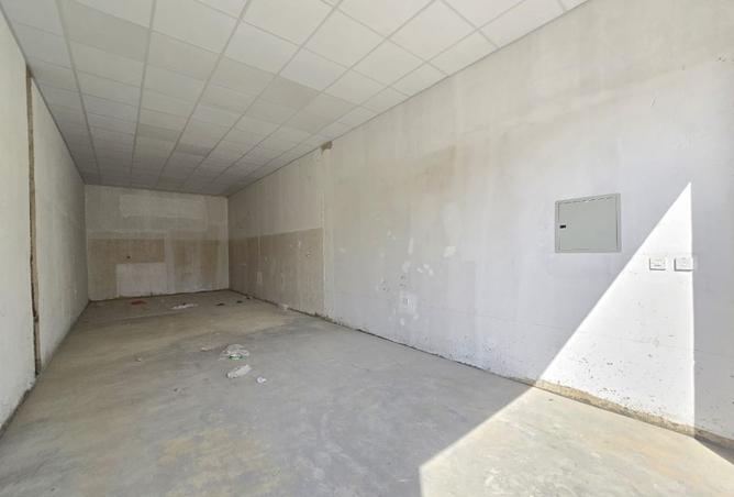 15374566 - Property Image 3