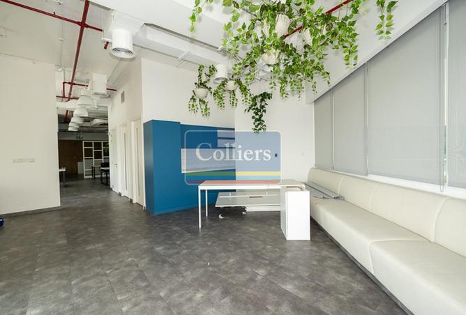 15703838 - Property Image 3