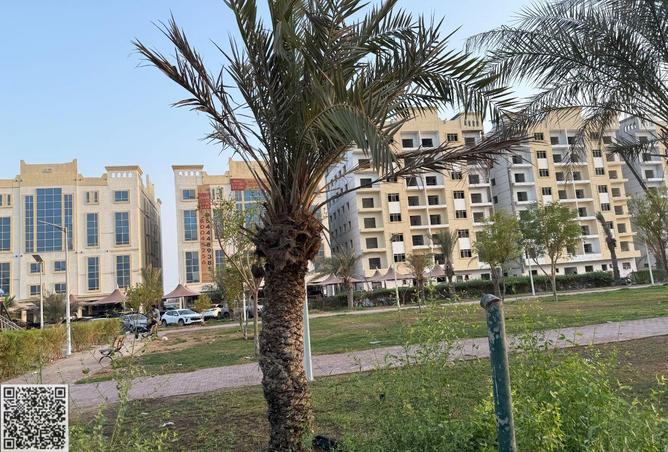 15577894 - صورة العقار 3