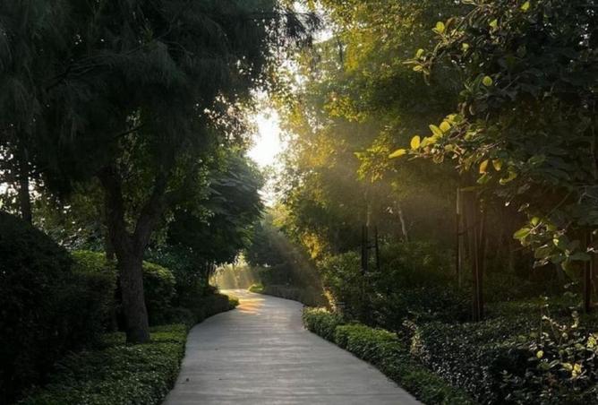 15367119 - صورة العقار 2