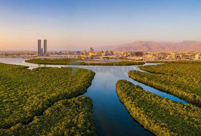 16085411 - الصورة الرئيسية للعقار