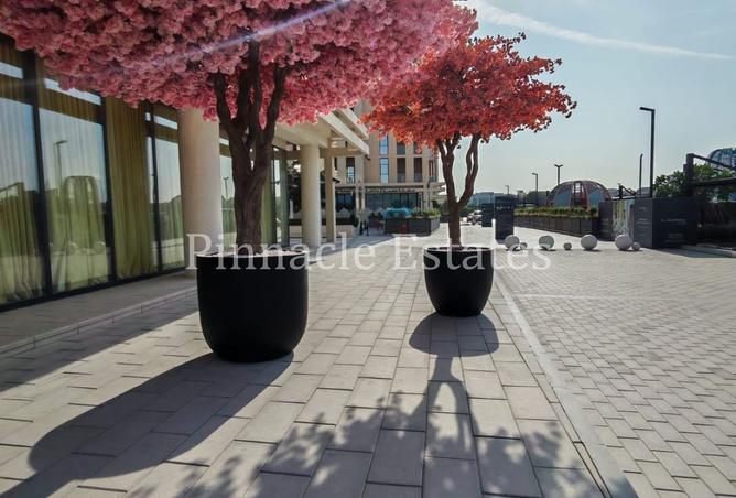 15903560 - Property Image 3