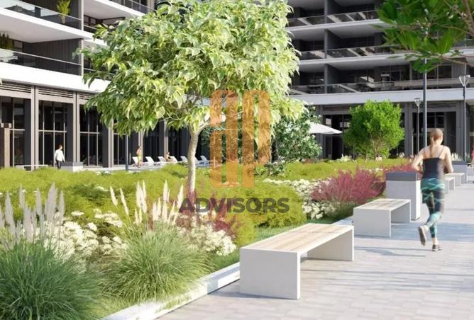 16094592 - Property Image 3