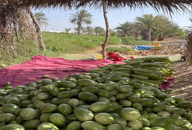 15863641 - Property Image 3