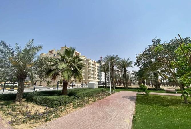 15891868 - صورة العقار 3