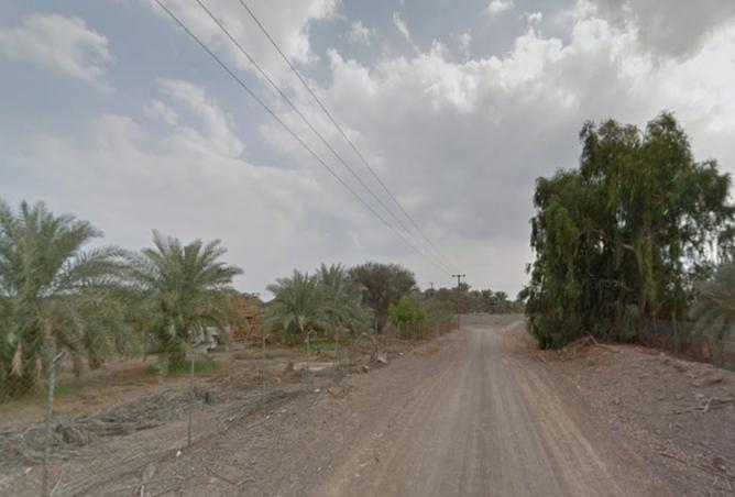 15801000 - صورة العقار 3