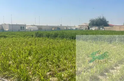 Farm - Studio for sale in Al Ajban - Abu Dhabi