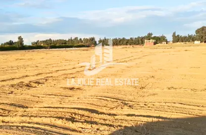 Land - Studio for sale in Baniyas - Abu Dhabi