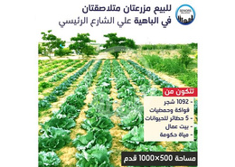 Good way to Invest! Huge Farm in Al Bahia