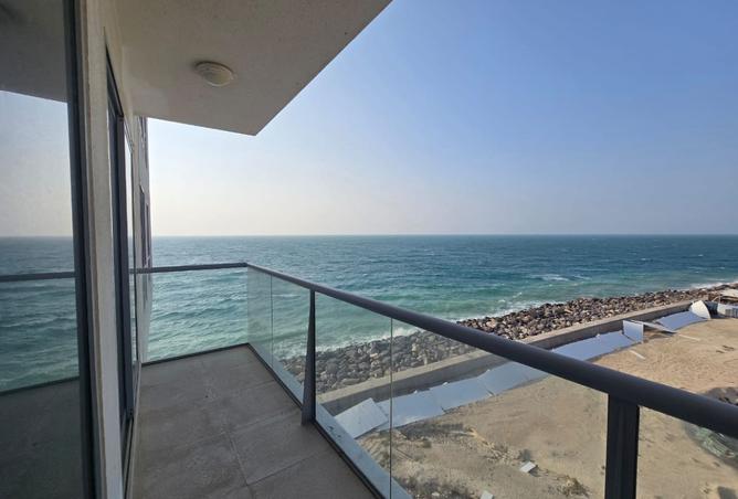 15951251 - Property Image 3