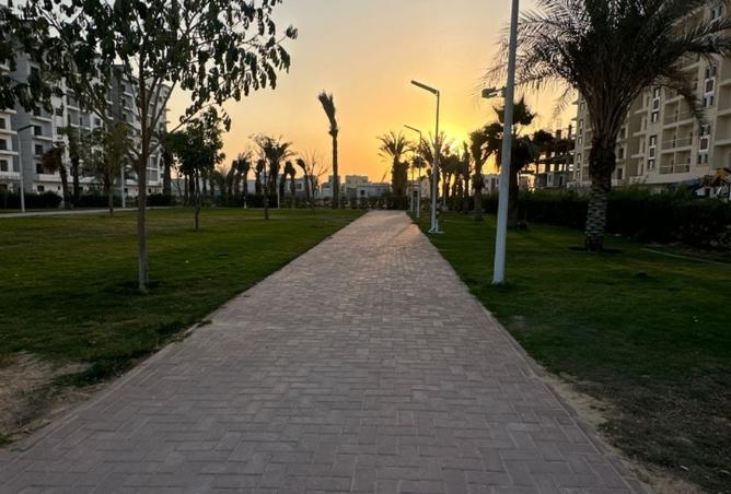 15856479 - صورة العقار 3