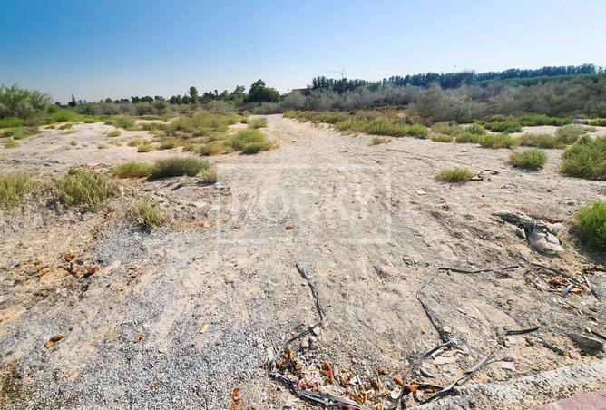 15455273 - Property Image 3