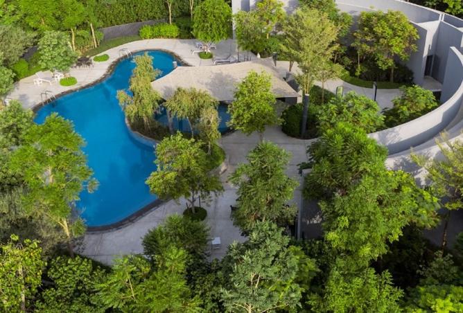 15953452 - Property Image 3