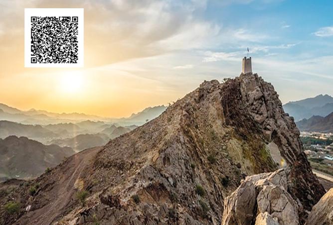 15357598 - صورة العقار 3