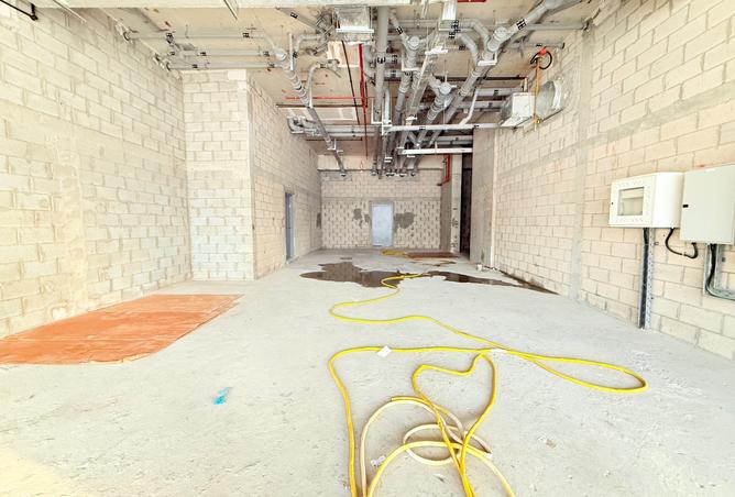 16098259 - Property Image 3