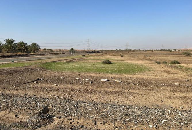 16008291 - Property Image 3