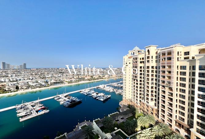 16025264 - صورة العقار 3