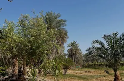 مزرعة - استوديو للبيع في الرحبة - أبوظبي
