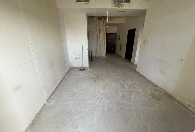 16019221 - Property Image 3