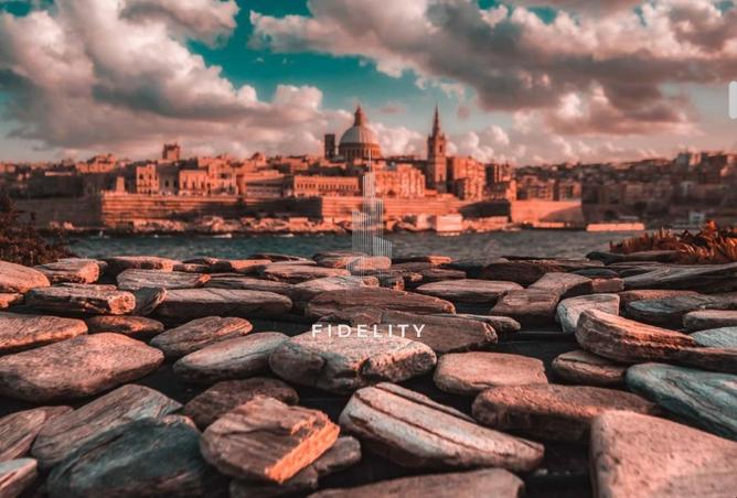 16058967 - صورة العقار 3