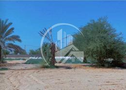 Farm - 2 bathrooms for sale in Al Rahba - Abu Dhabi