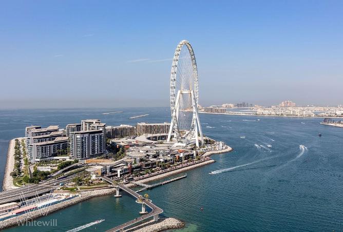 15849008 - صورة العقار 2