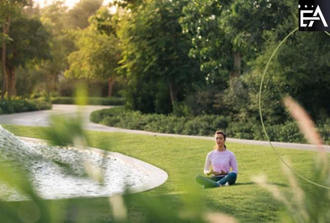 15666001 - Property Image 2