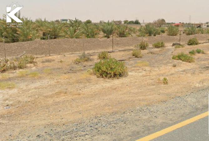 15987384 - Property Image 2