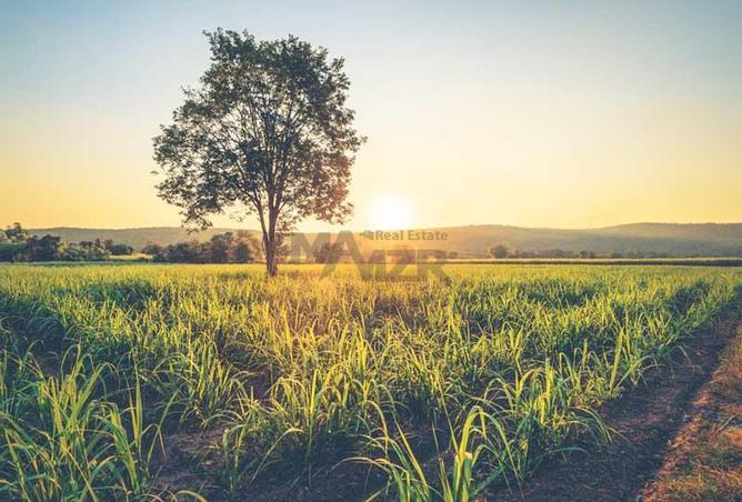 15880569 - صورة العقار 3