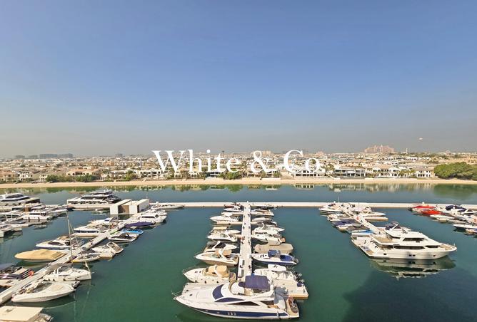 15467638 - Property Image 2