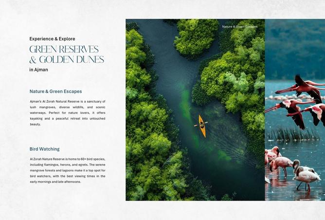 15732463 - صورة العقار 3