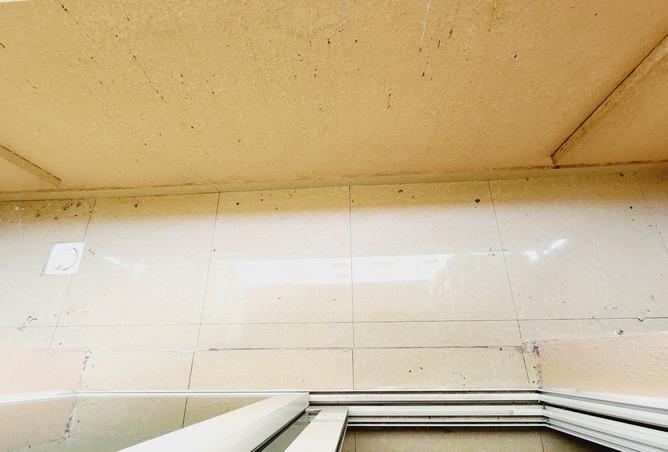 16098414 - Property Image 3