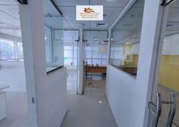 Hall / Corridor image for: Office Space - 4 bathrooms for rent in Universal Hospital Building - Airport Road - Abu Dhabi, Image 1