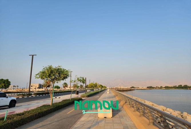 15376449 - صورة العقار 3