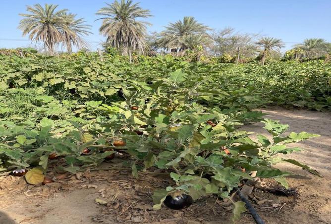 15863641 - Property Image 2