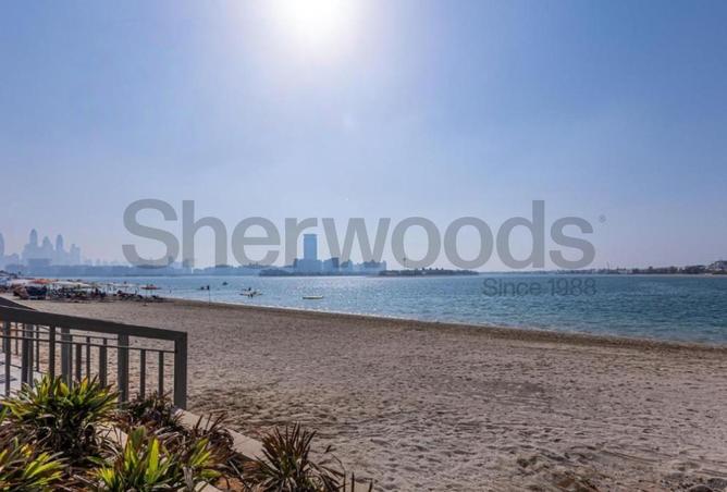 15513351 - صورة العقار 2