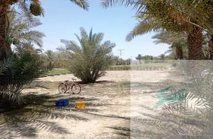 مزرعة - استوديو للبيع في العجبان - أبوظبي