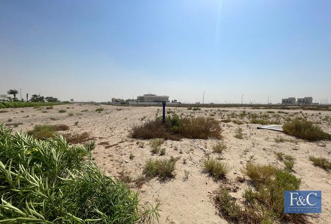 15345368 - Property Image 3