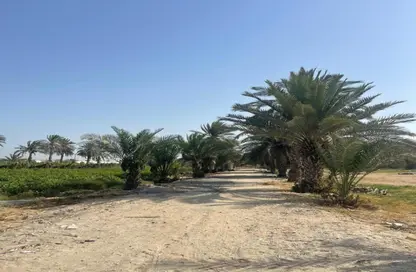 مزرعة - استوديو للبيع في العجبان - أبوظبي