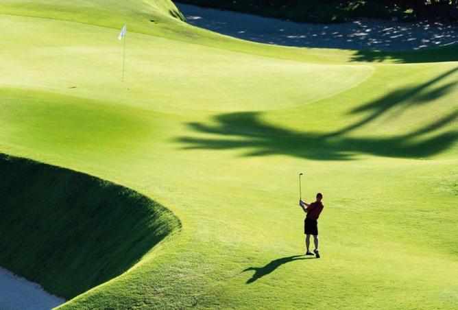 15804596 - صورة العقار 2