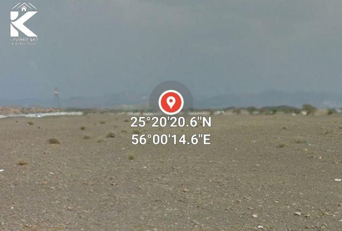 16050799 - صورة العقار 3