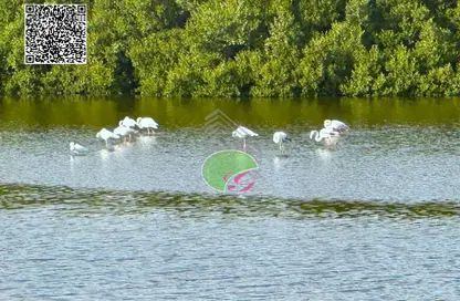 Apartment - 2 Bedrooms - 3 Bathrooms for sale in Creekside - Al Zorah - Ajman