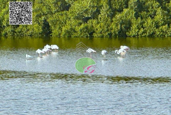 15900416 - Property Main Image