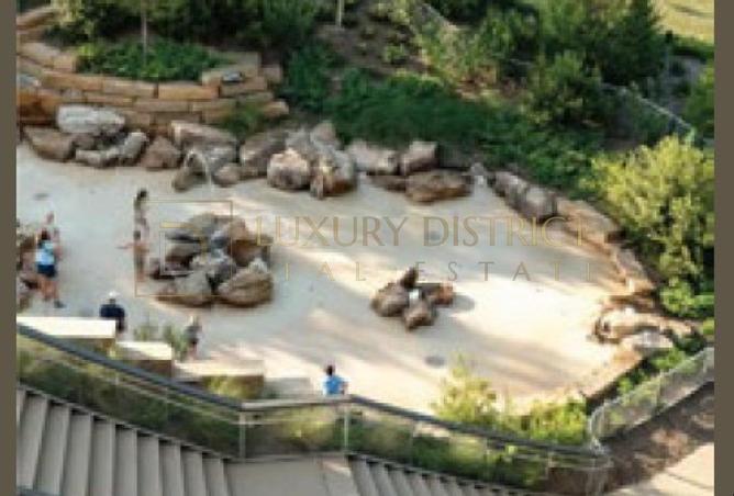 15834985 - صورة العقار 3