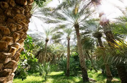 مزرعة - استوديو للبيع في الرحبة - أبوظبي