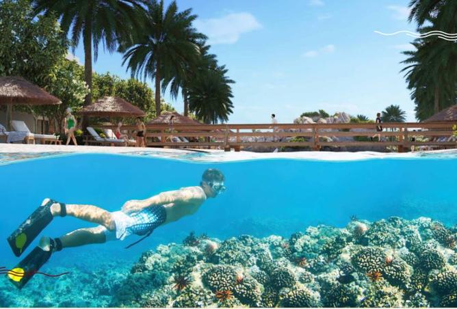 15673831 - صورة العقار 3