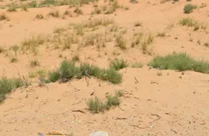 أرض - استوديو للبيع في الصجعة الصناعية - آلصجعه - الشارقة
